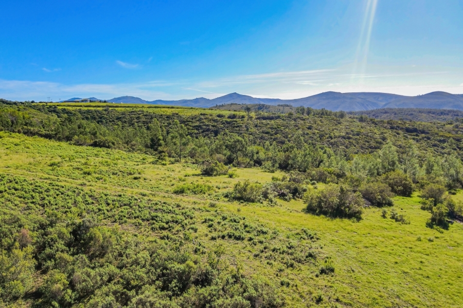 5 Bedroom Property for Sale in Elandsrivier Eastern Cape